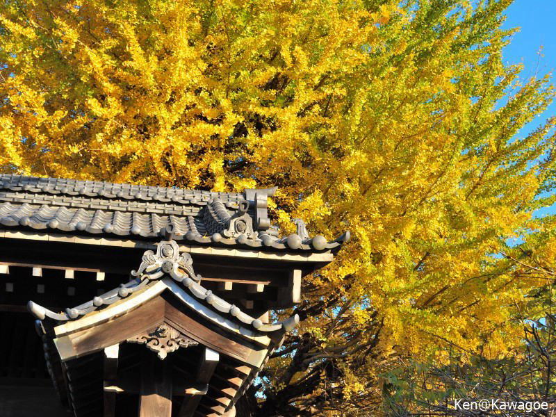養寿院　山門