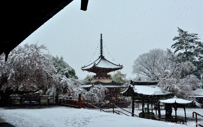 喜多院　多宝塔
