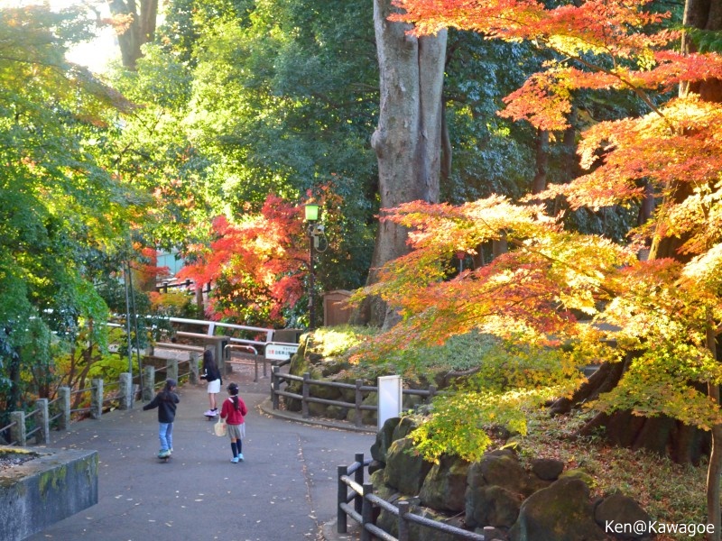 喜多院　どろぼう橋