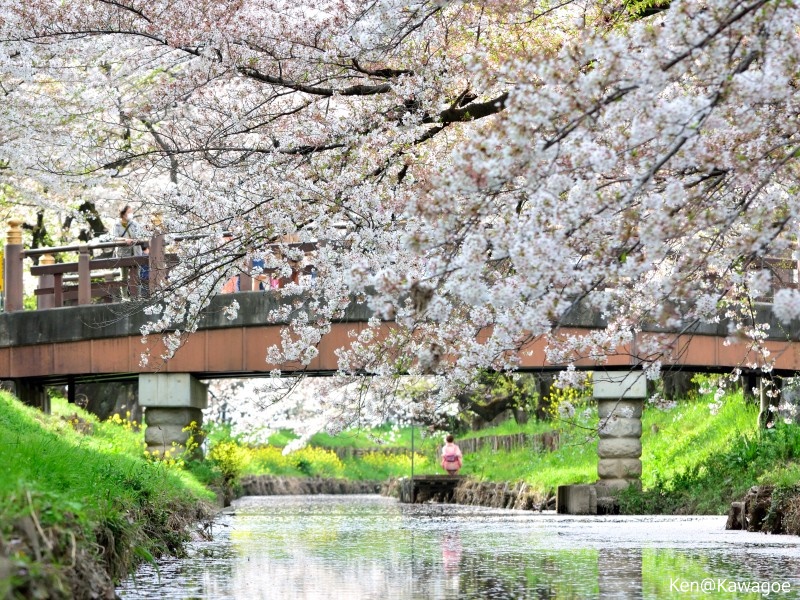 新河岸川　氷川橋 2021