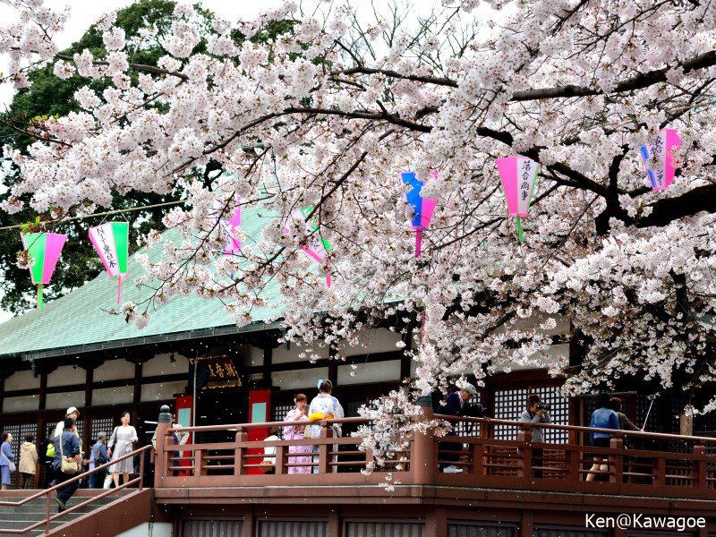 喜多院　慈恵堂（本堂）
