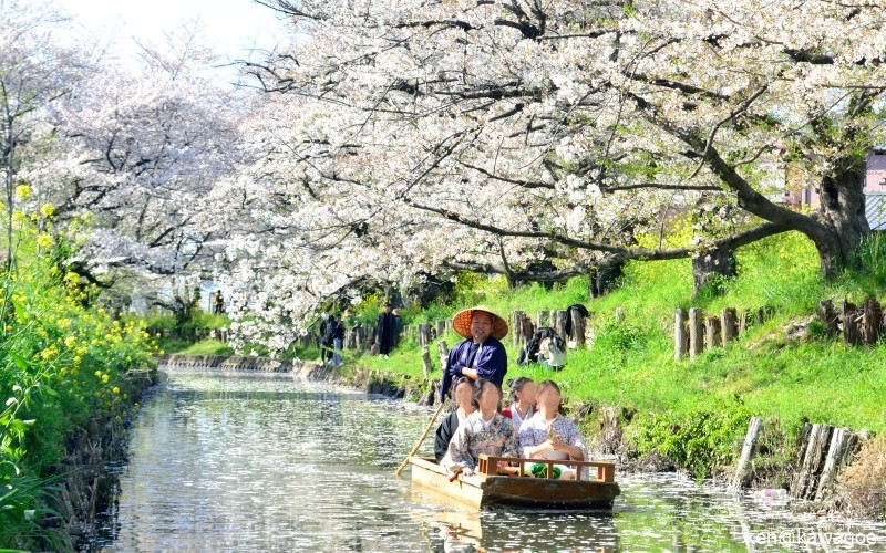 新河岸川 春の舟遊 2024