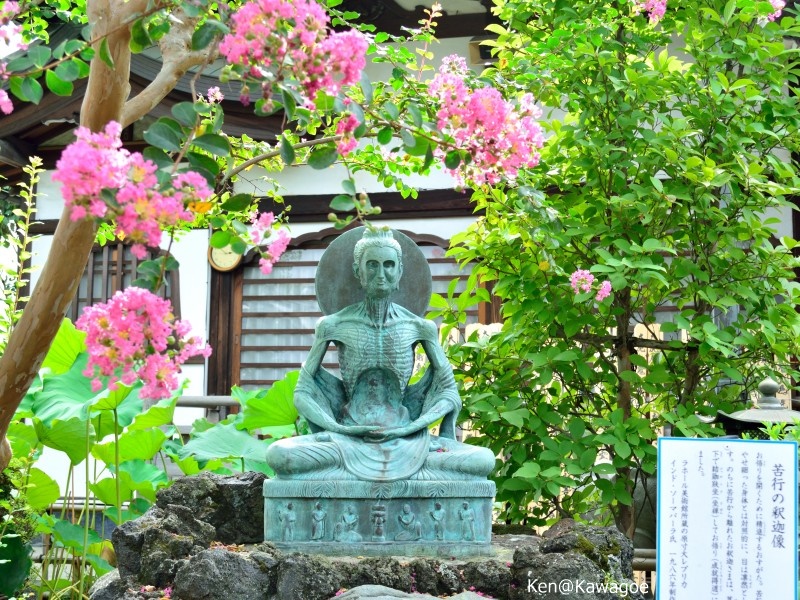 長喜院　苦行の釈迦像